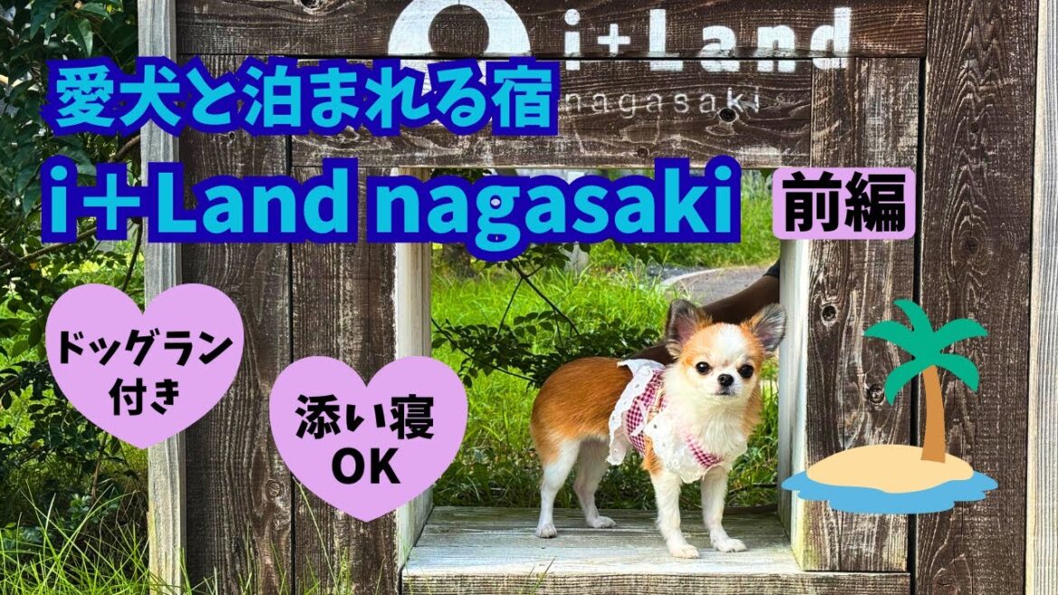 【前編 】愛犬と泊まれる宿 / i＋Land nagasaki(アイランド長崎) 1日じゃ全然足りない！島まるごとリゾート😆♪