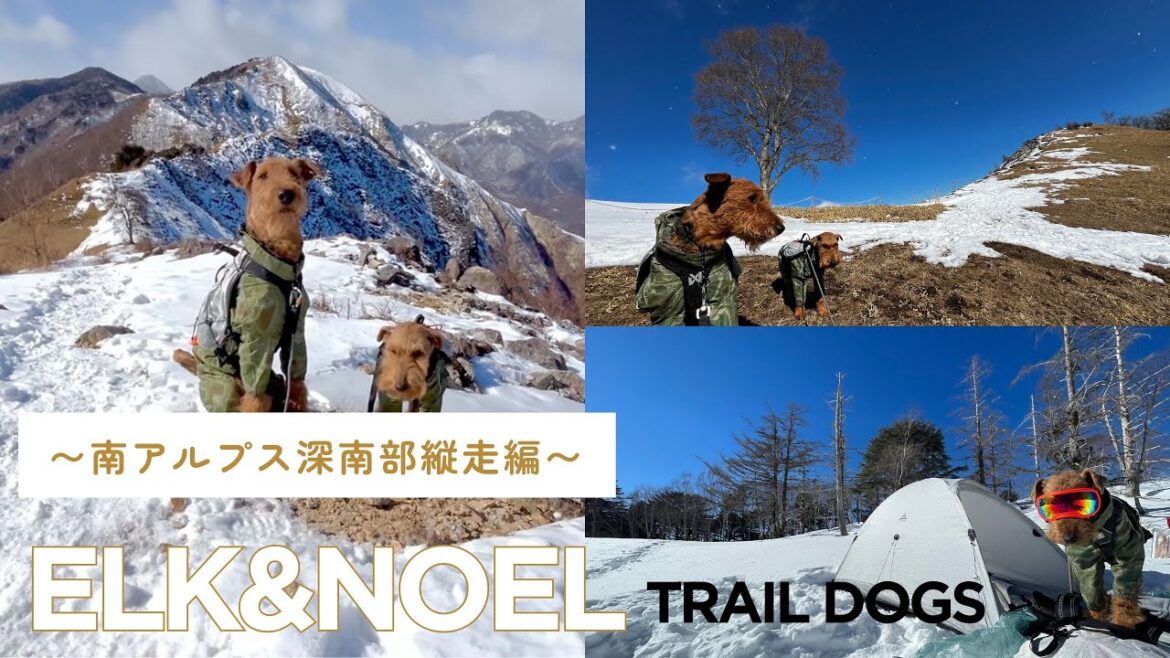 ELK&NOEL  目指せ！3泊4日深南部縦走までの道のり 〜南アルプス深南部縦走編〜 #001 [栃木県 中倉山]