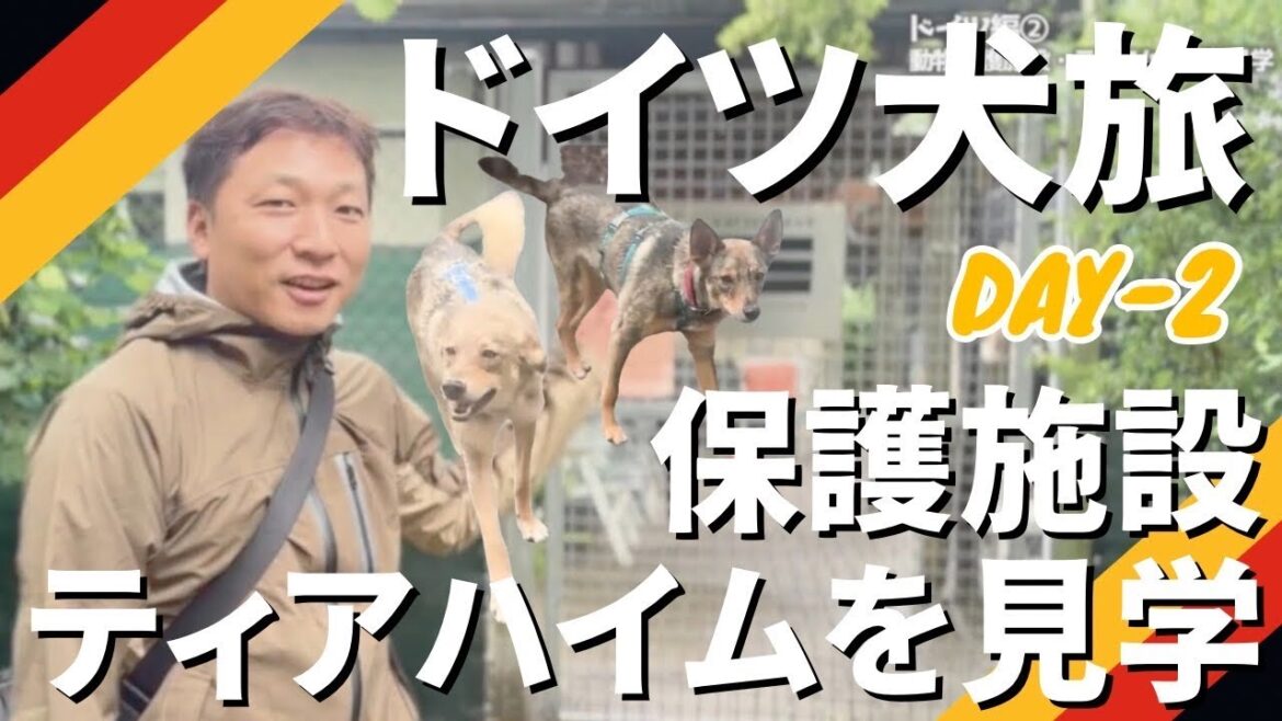 【ドイツ犬旅2日目】ドイツの保護施設「ティアハイム」を見学！