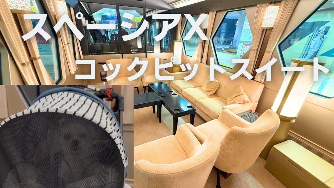 【1室限定】犬と乗れる！スペーシアXコックピットスイート体験記🐶🚅