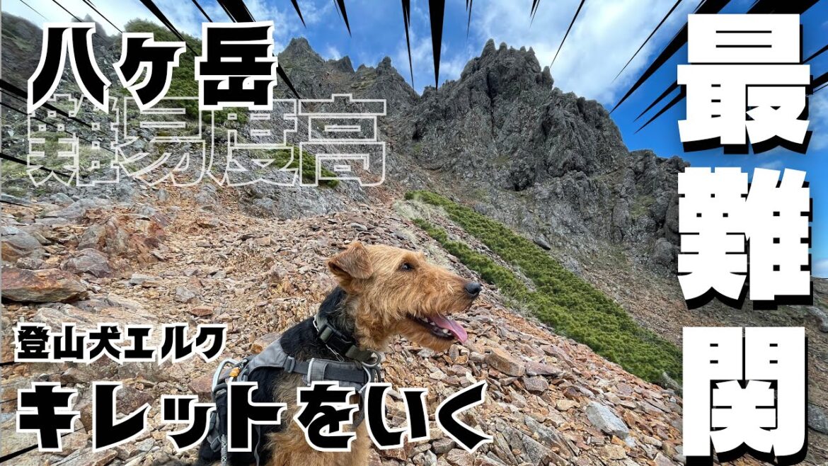 ELK&NOEL  八ヶ岳最難関ルート キレットに挑む！〜過去動画編〜 #002 [赤岳・権現岳]