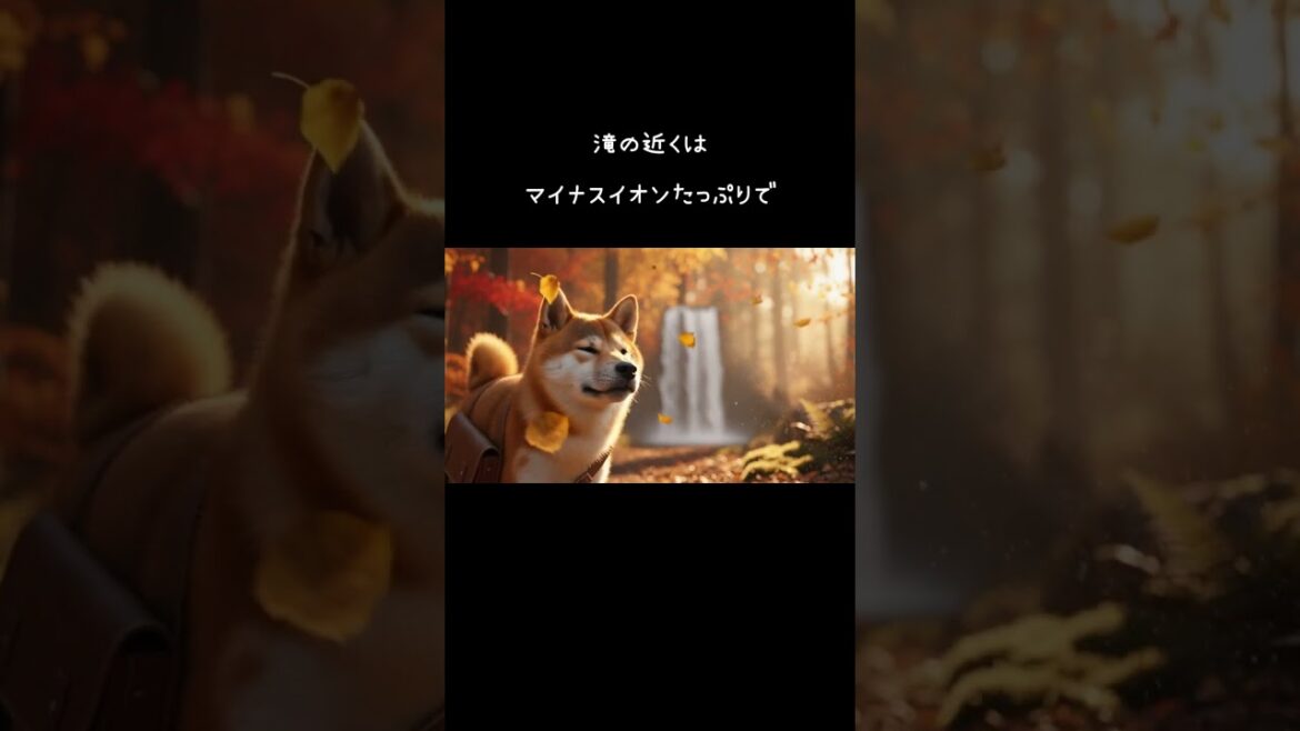 マイナスイオン浴びてきたワン🐕 柴犬シバ君🐾#柴犬 #shibainu #ai #癒し