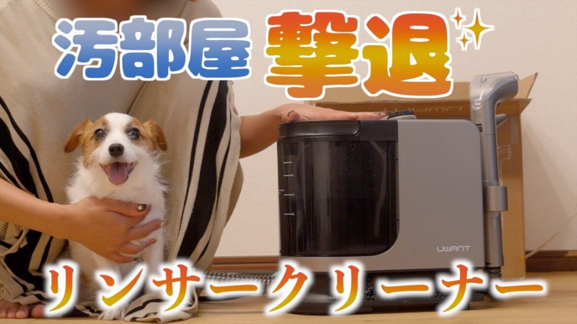 ペットのいる家庭でリンサークリーナー初めて使ってみたら汚れすぎてて驚愕しました/ジャックラッセルテリア/B400/UWANT//ジャックラッセルテリア