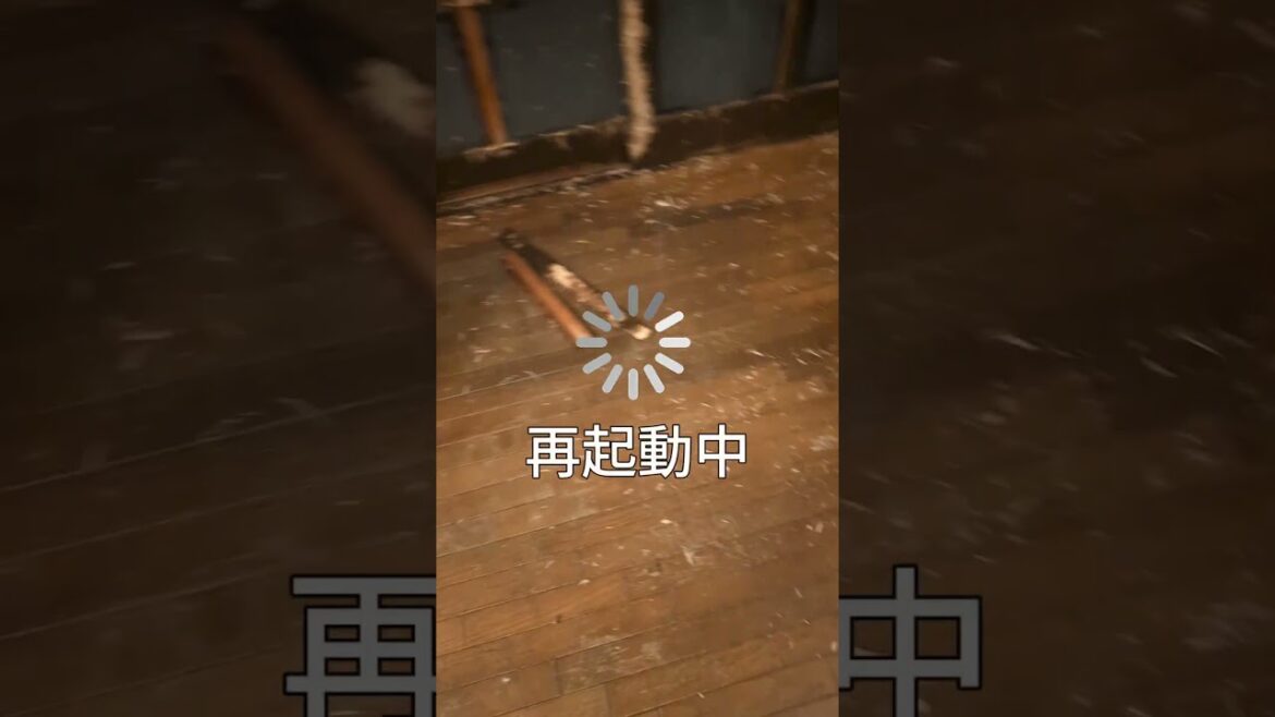 家は知育玩具④ #ボクサー犬 #犬のいる生活 #面白集 #ペット #コントチャンネル #大型犬のいる生活 #パワ子