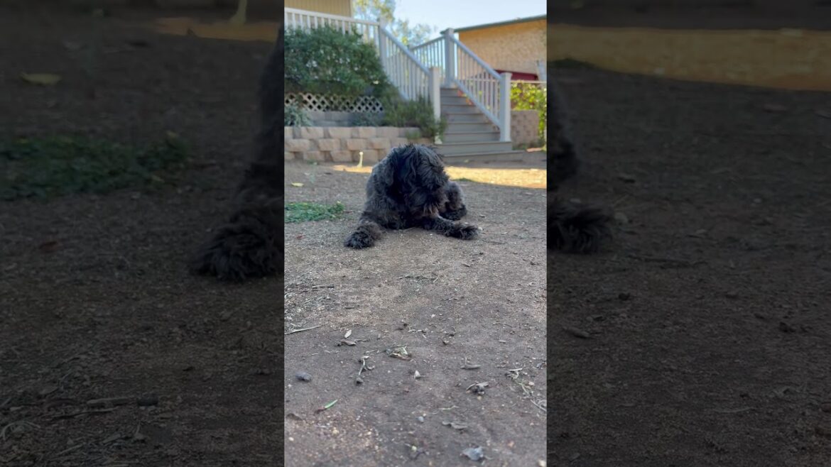 FRIDAY I’M IN LOVE 🫶🫶