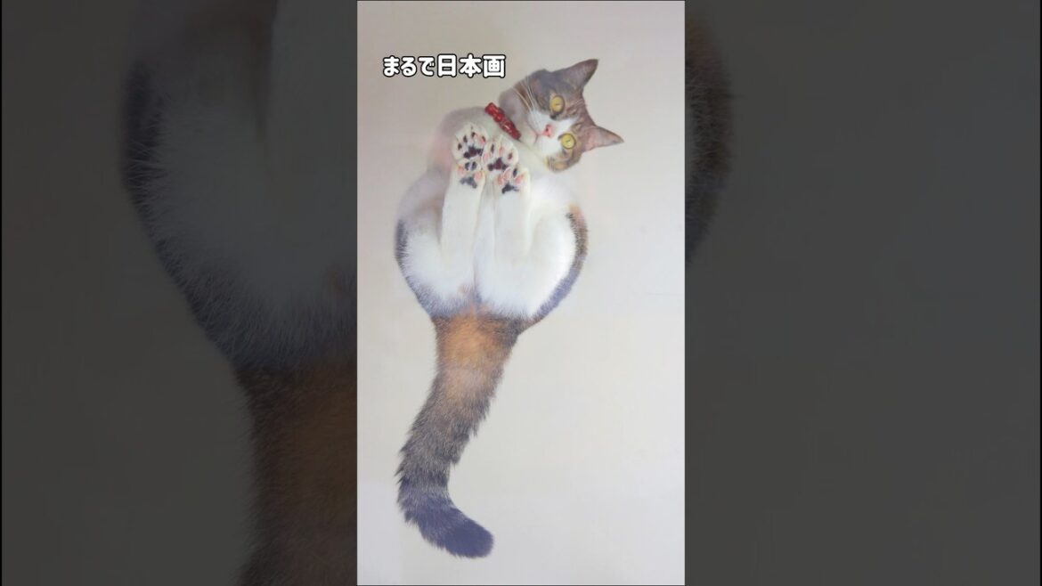 いろんな顔を持つ猫ピーチ|おもしろカンフーポーズから美しい日本画ポーズまで披露 いろんな顔を持つ猫ピーチ|おもしろカンフーポーズから美しい日本画ポーズまで披露