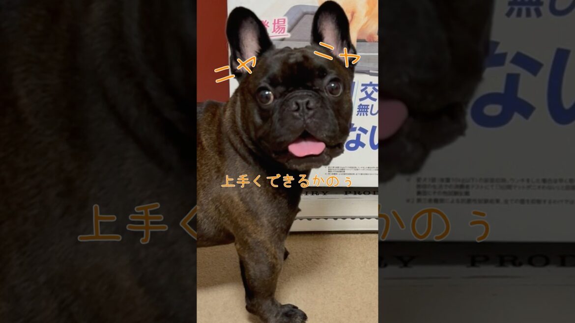 懸賞に当たりました