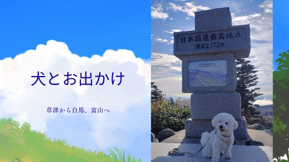【犬と一緒にお出かけ】群馬草津温泉～長野～富山４泊５日。ビションフリーゼのボーと車中泊 ３回目。