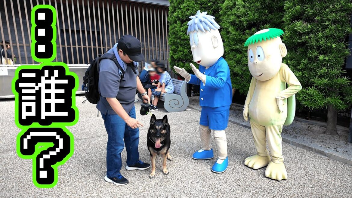 境港で妖怪たちに出会ったら、愛犬の反応が面白すぎましたw【ジャーマンシェパード】 境港で妖怪たちに出会ったら、愛犬の反応が面白すぎましたw【ジャーマンシェパード】