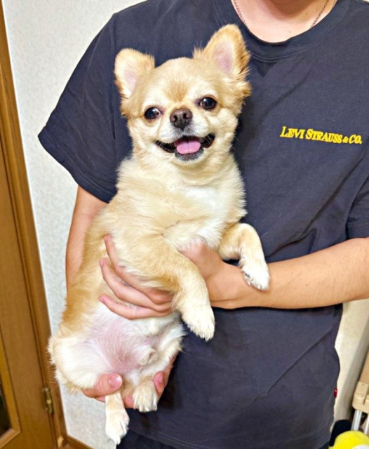 抱っこする人でこんなに違う!? 弟には満面の笑み、母のときはまさかの表情に… 犬のリアクションが話題 「ギャップすごすぎ」笑(まいどなニュース)|dメニューニュース(NTTドコモ) 抱っこする人でこんなに違う!? 弟には満面の笑み、母のときはまさかの表情に… 犬のリアクションが話題 「ギャップすごすぎ」笑