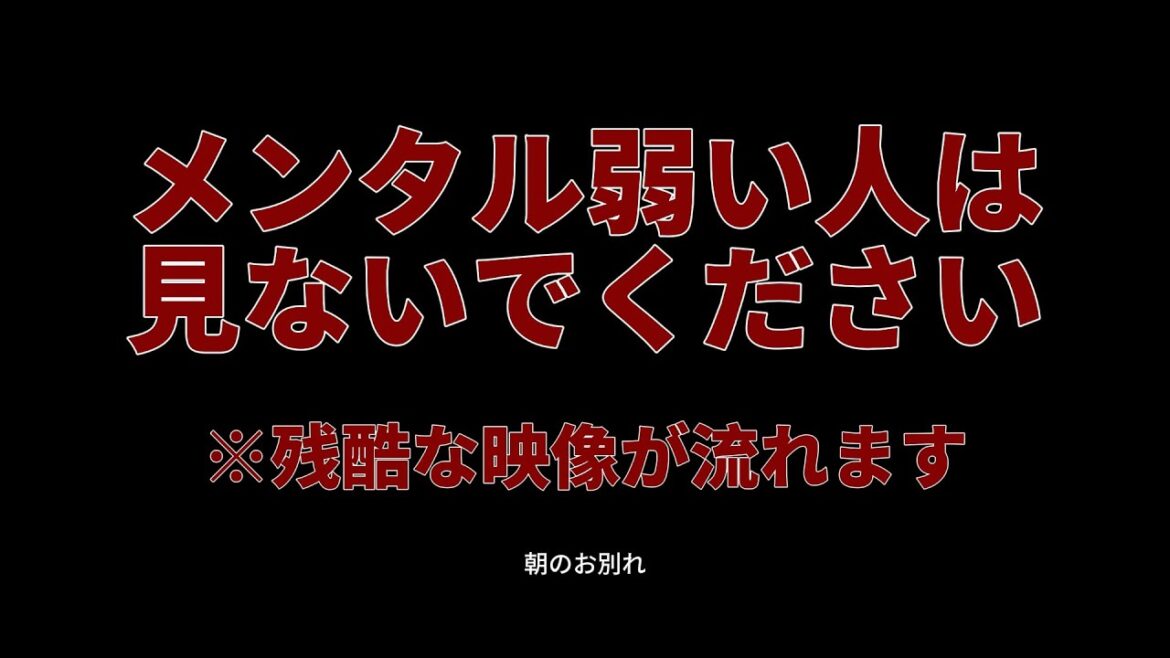 メンタルが弱い人は見ないでください