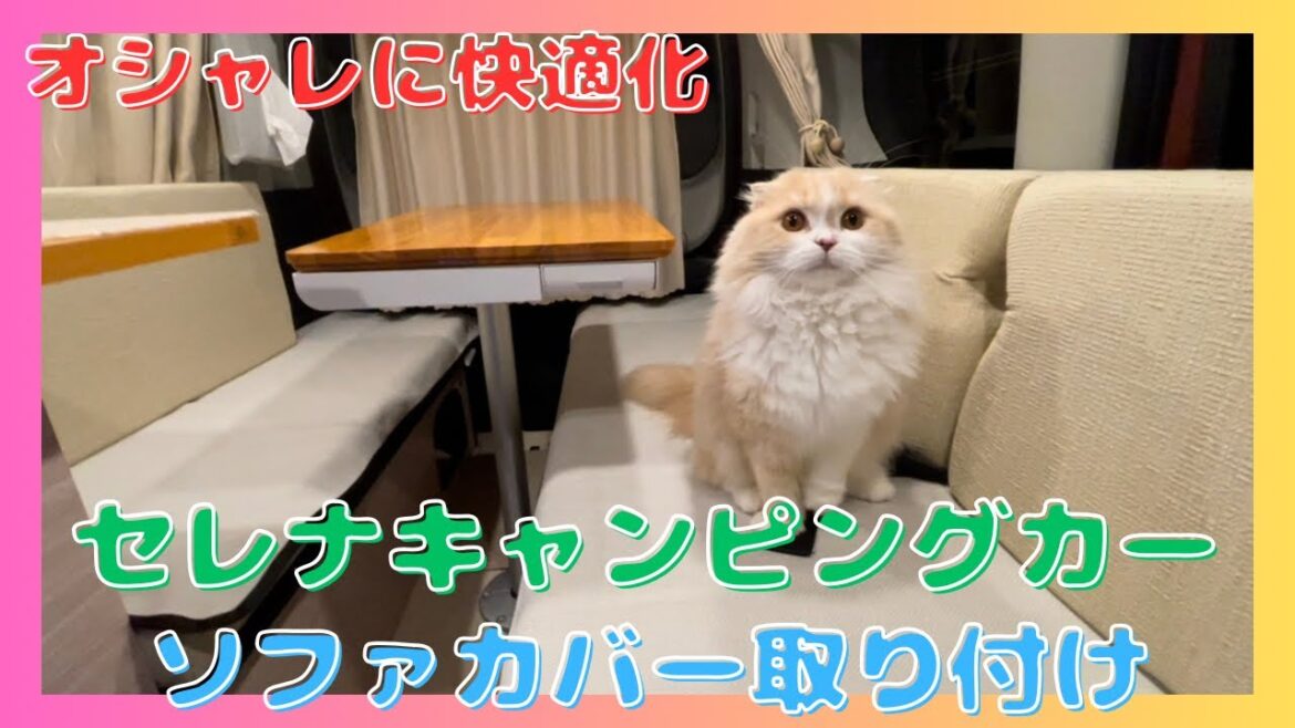 【セレナキャンピングカー】キャンピングカーDIY/ソファカバー取り付けオシャレに快適化/スコティッシュフォールド/camper van