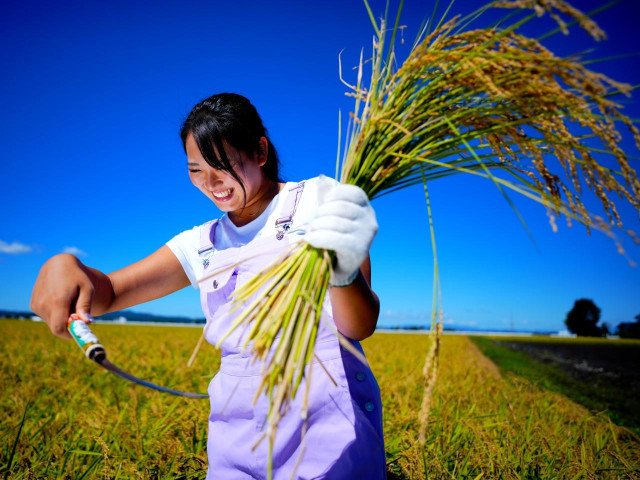 手首の動きは“猫パンチ”【長谷川円香のいきなり飛び出す飛距離塾 #10】(みんなのゴルフダイジェスト)|dメニューニュース(NTTドコモ) 手首の動きは“猫パンチ”【長谷川円香のいきなり飛び出す飛距離塾 #10】