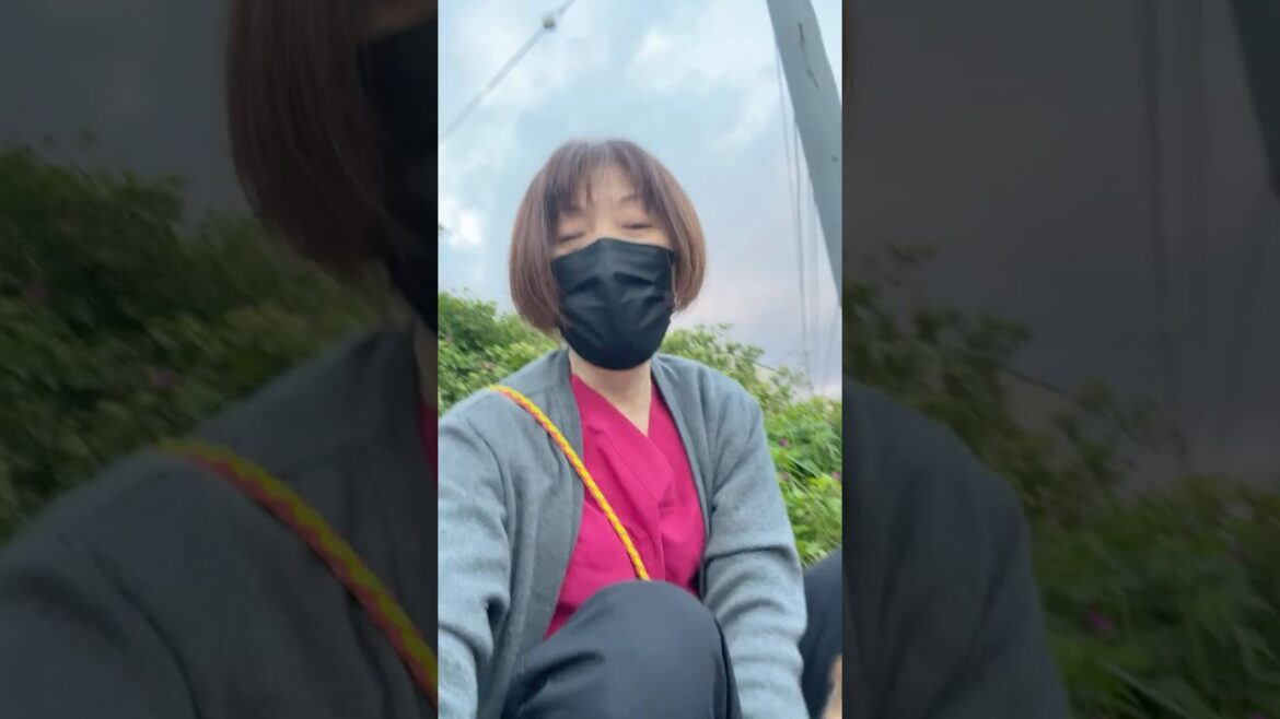 ライブ　ハイライト