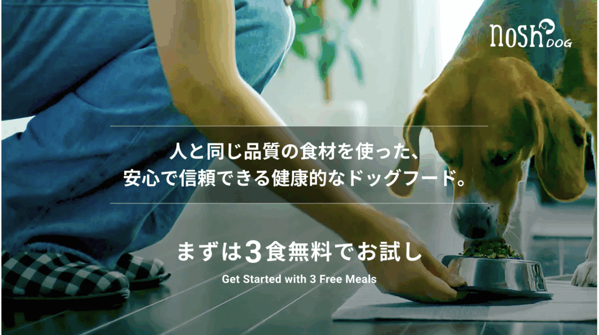 nosh DOG、初回購入者を対象にした「3食分無料お試し」を10月17日(金)より開始 | ナッシュ株式会社 nosh DOG、初回購入者を対象にした「3食分無料お試し」を10月17日(金)より開始 | ナッシュ株式会社