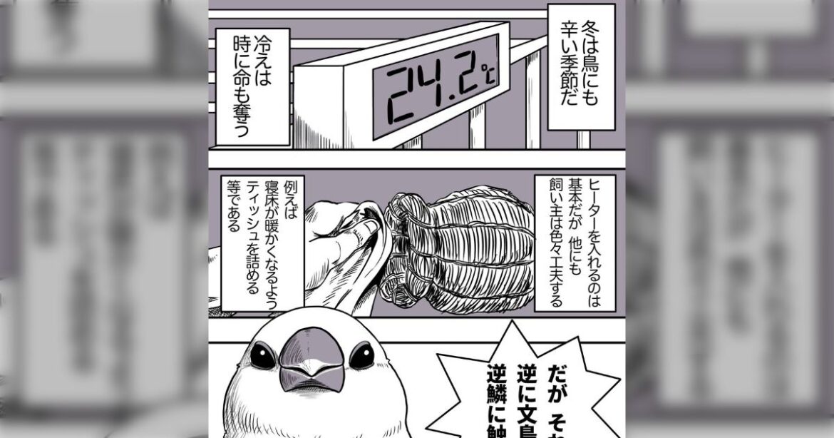 「その気遣いが逆に文鳥の逆鱗に触れた」鳥飼いにしかわからない静かにキレてる文鳥の漫画に共感が集まる「文鳥の逆鱗多くない？」とツッコミも - Togetter