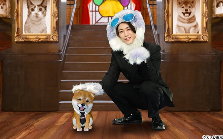 亀梨和也、独立後初のレギュラー番組は犬の姿で登場?「家族のことを考えましたし、素敵な番組になったと思います」:世界を救う!ワンにゃフル物語 | テレ東・BSテレ東の読んで見て感じるメディア テレ東プラス 亀梨和也、独立後初のレギュラー番組は犬の姿で登場?「家族のことを考えましたし、素敵な番組になったと思います」:世界を救う!ワンにゃフル物語 | テレ東・BSテレ東の読んで見て感じるメディア テレ東プラス