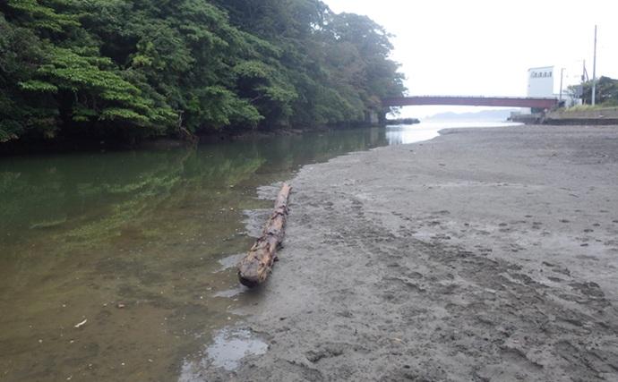 「猫のちょっかいに苦戦？」白狐川のハゼ釣りでマハゼ25匹手中【千葉】