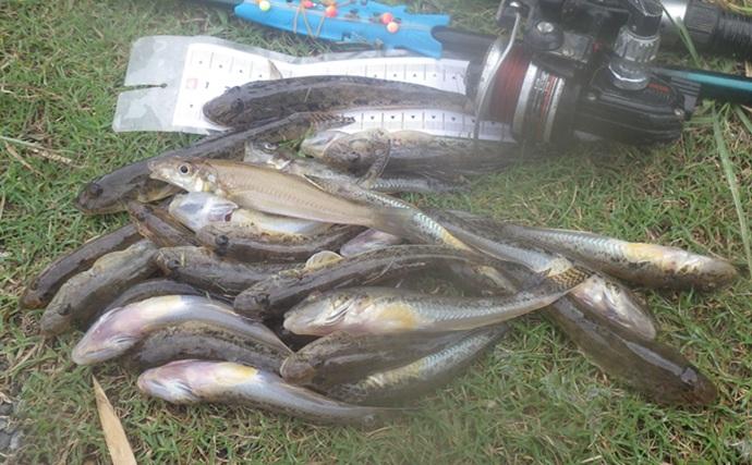 「猫のちょっかいに苦戦？」白狐川のハゼ釣りでマハゼ25匹手中【千葉】