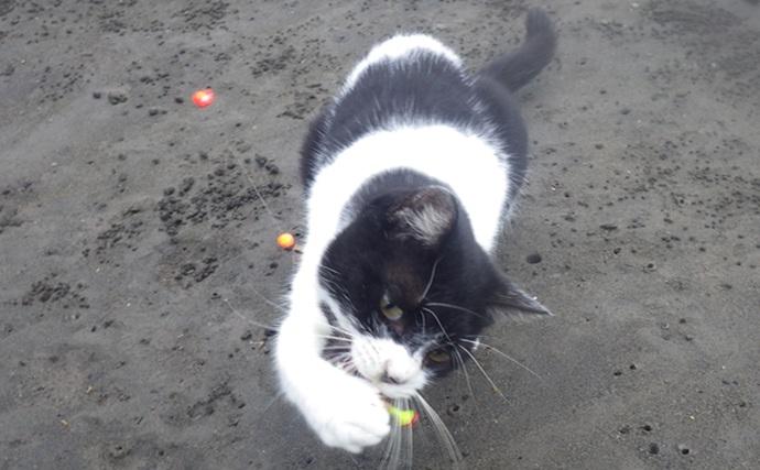 「猫のちょっかいに苦戦？」白狐川のハゼ釣りでマハゼ25匹手中【千葉】