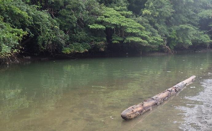 「猫のちょっかいに苦戦？」白狐川のハゼ釣りでマハゼ25匹手中【千葉】