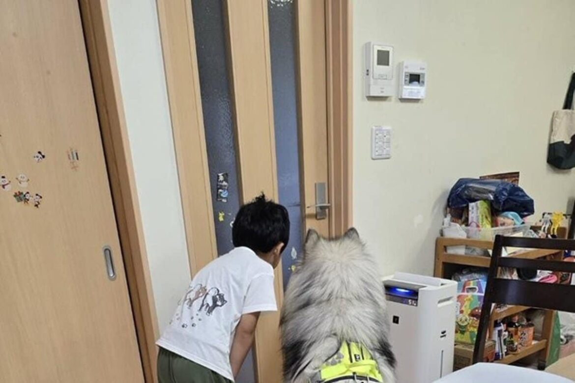 ママが出かけた後の「犬と男の子」　かわいらしい光景に思わずニッコリ | LIMO | くらしとお金の経済メディア