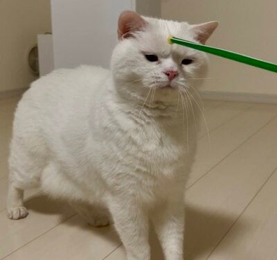 投稿の画像