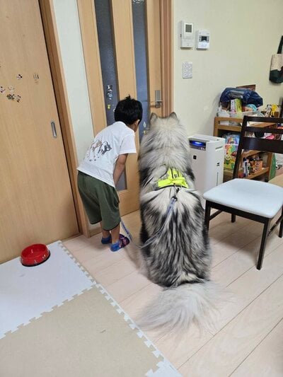 投稿の画像