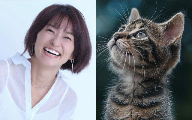 「私の肉体は介護疲れでボロボロだった」15年連れ添った愛猫に“腎臓病”発覚→8か月の介護生活…元NHKアナ・住吉美紀(52)が明かした“愛するネコの最期”(文春オンライン) – dメニューニュース 「私の肉体は介護疲れでボロボロだった」15年連れ添った愛猫に“腎臓病”発覚→8か月の介護生活…元NHKアナ・住吉美紀(52)が明かした“愛するネコの最期”(文春オンライン) - dメニューニュース