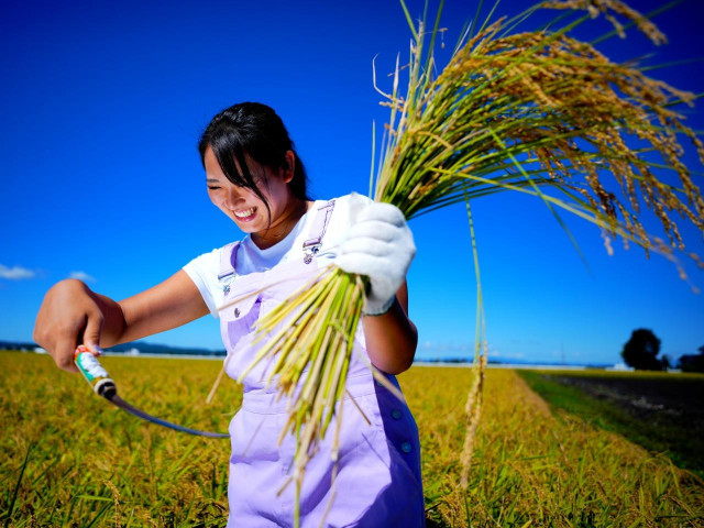 手首の動きは“猫パンチ”【長谷川円香のいきなり飛び出す飛距離塾 #10】