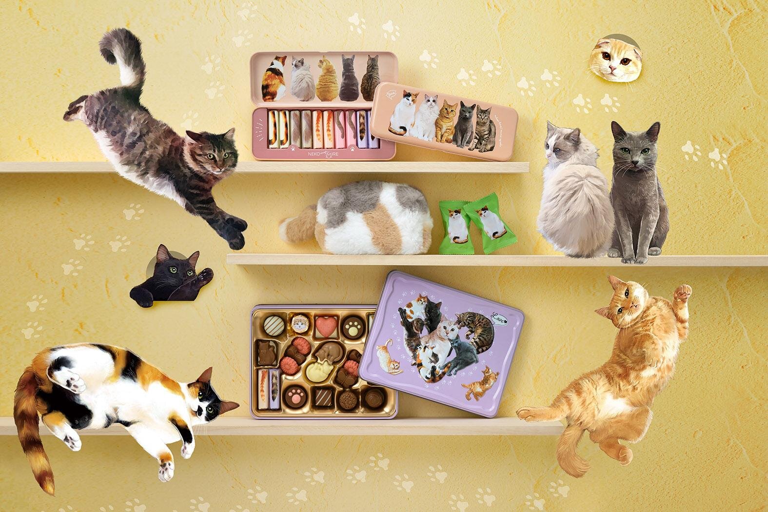 メリーチョコレート「ねこみゃみれ」26年バレンタイン、“もふもふ”三毛猫ポーチ付きチョコ＆猫缶など | 写真
