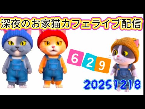 深夜のお家猫カフェライブ配信 629 深夜のお家猫カフェライブ配信 629