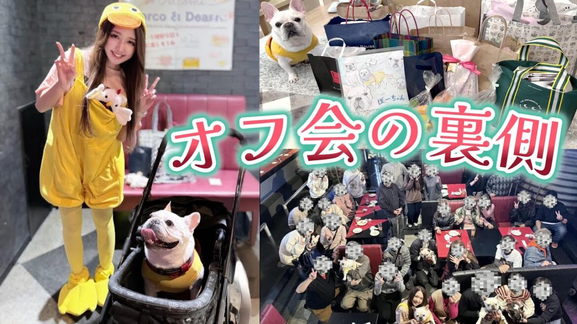 人生初!!オフ会の裏側大公開!!【フレンチブルドッグ frenchbulldog】 人生初!!オフ会の裏側大公開!!【フレンチブルドッグ frenchbulldog】