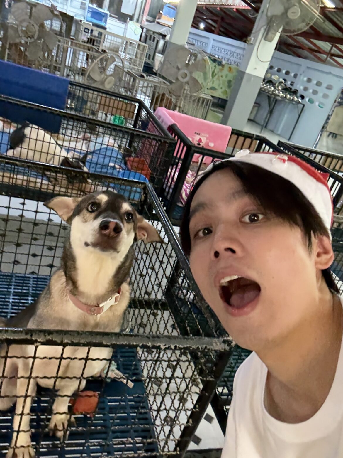 タイナウ！ Thainow