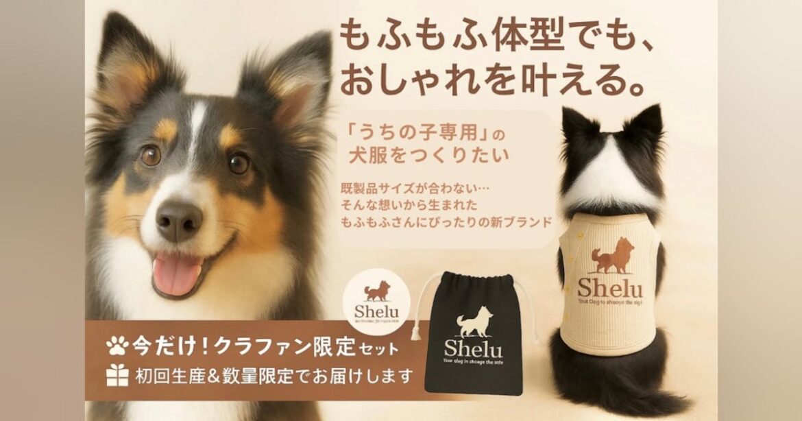 もふもふ体型でもおしゃれを叶える犬服をつくりたい – CAMPFIRE (キャンプファイヤー) もふもふ体型でもおしゃれを叶える犬服をつくりたい - CAMPFIRE (キャンプファイヤー)