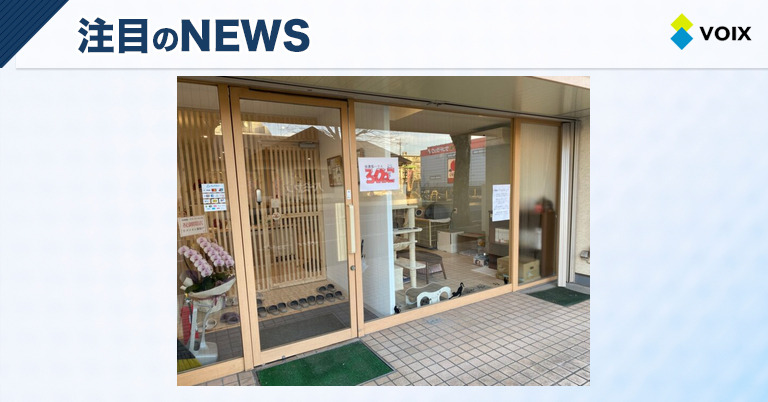 保護猫ハウス ろくねこ、譲渡会10回目開催で20頭以上の猫が新しい家族に出会う – VOIX biz 保護猫ハウス ろくねこ、譲渡会10回目開催で20頭以上の猫が新しい家族に出会う