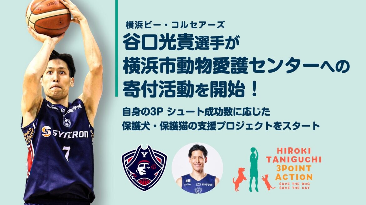 谷口光貴選手が横浜市動物愛護センターへの寄付活動を開始！～自身の3Pシュート成功数に応じた、保護犬・保護猫の支援プロジェクトをスタート～ | 横浜ビー・コルセアーズ