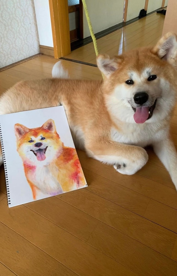 実物そっくりな絵▶2匹が秋田名物に変身！？（⇒次へ）