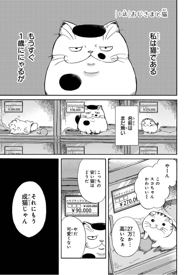 【漫画】「おじさまと猫」を読む