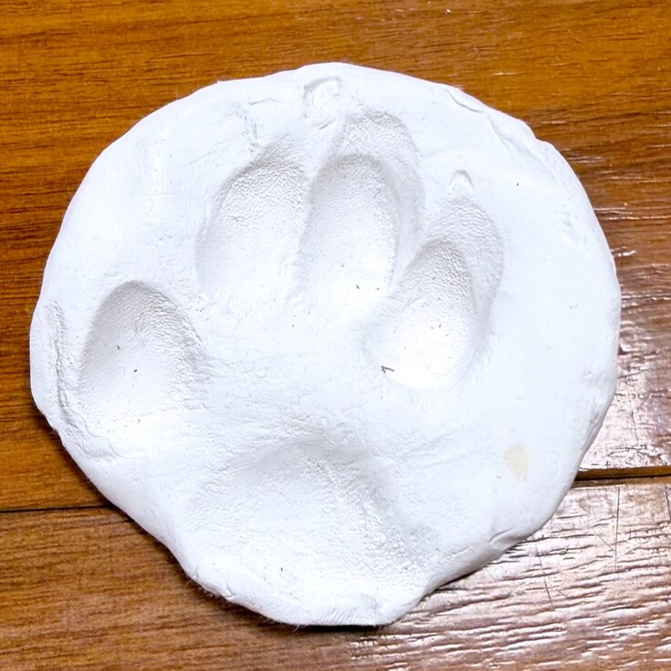 丸く白い物体に犬の足跡が捺されています