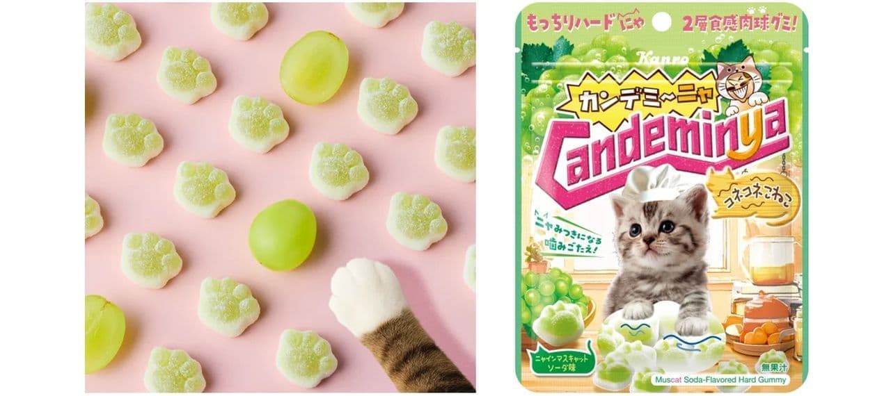 カンロ「カンデミーニャグミ コネコネこねこ」 