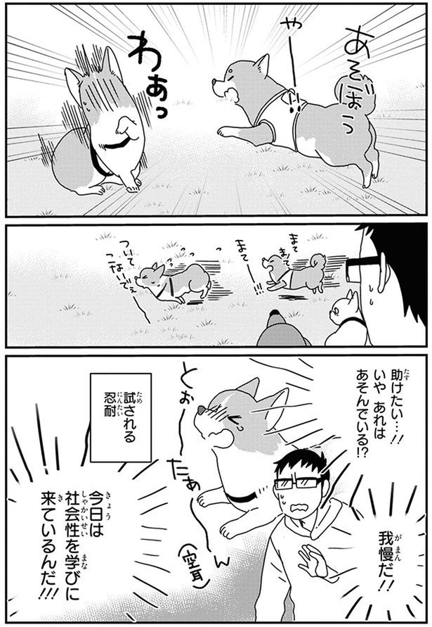 助けたい…！！