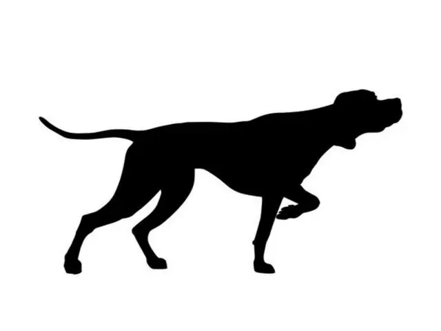 公共機関から「ペット」として譲り受けた犬を「食用」にした70代＝韓国