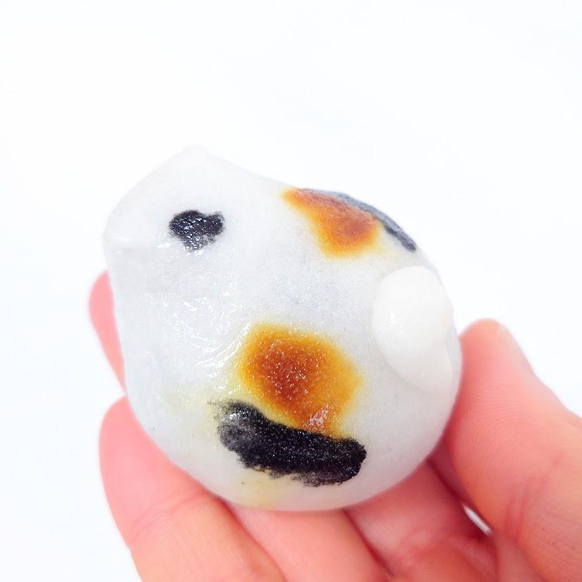 手乗り猫…幸せ～！！