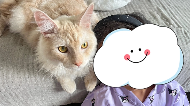 猫のFIP治療で命を救いたい。高額治療費へのご支援をお願いします(長田奈緒子 2026/02/05 公開) – クラウドファンディング READYFOR 長田奈緒子