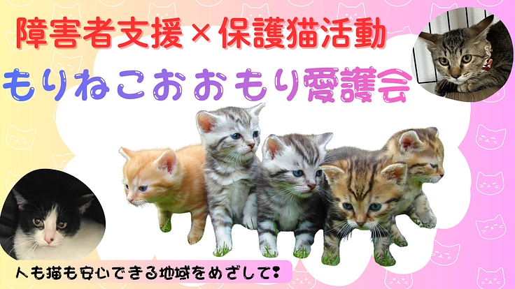 障害者支援×保護猫活動 人も猫も安心できる地域をめざして!(大森福祉会 2026/02/12 公開) – 継続寄付 READYFOR 大森福祉会