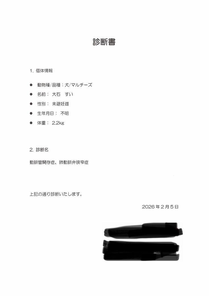 診断書１