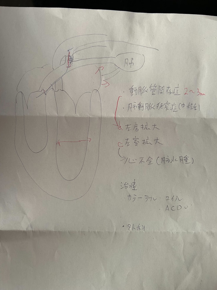 検査資料③