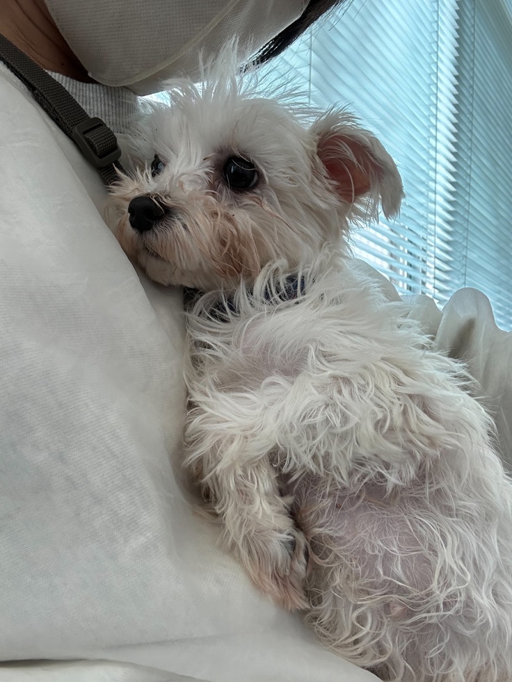 大学病院でのすいちゃん