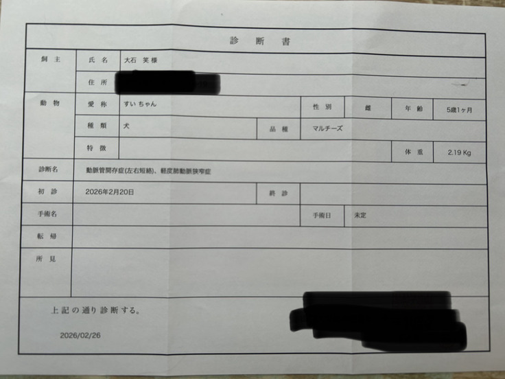 診断書２